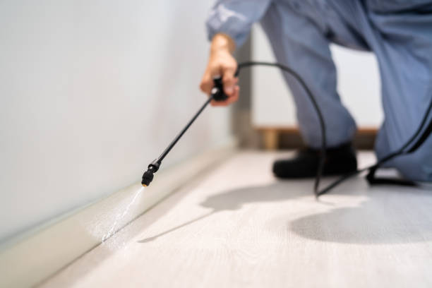 Licensed Termite Control service in Bluffton, SC - Nex Pest Control