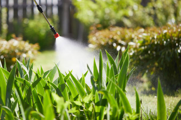 24/7 Emergency Termite Control experts in Bluffton, SC