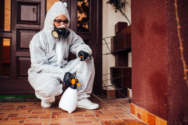 Reliable Termite Control contractor in Bluffton, SC by Nex Pest Control
