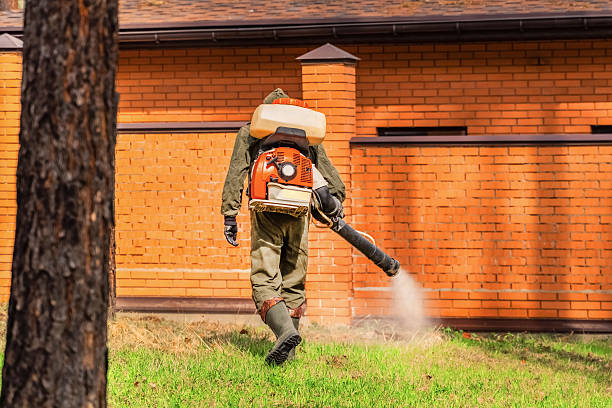 Top rated local Termite Control specialists in Bluffton, SC